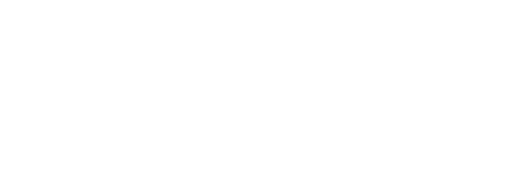 Janletic Sports wear manufacturer Pakistan Logo